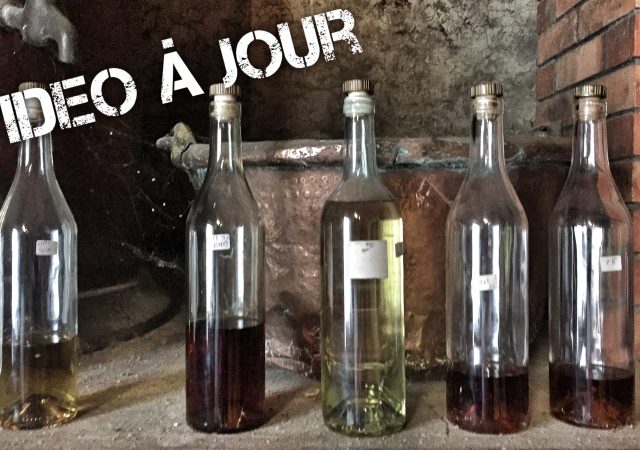 De Merpins à Juillac le Coq via Cognac